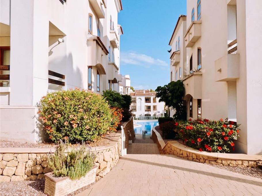Soleado Apartamento Con Piscina Y Terraza Privada. 알비르 외부 사진