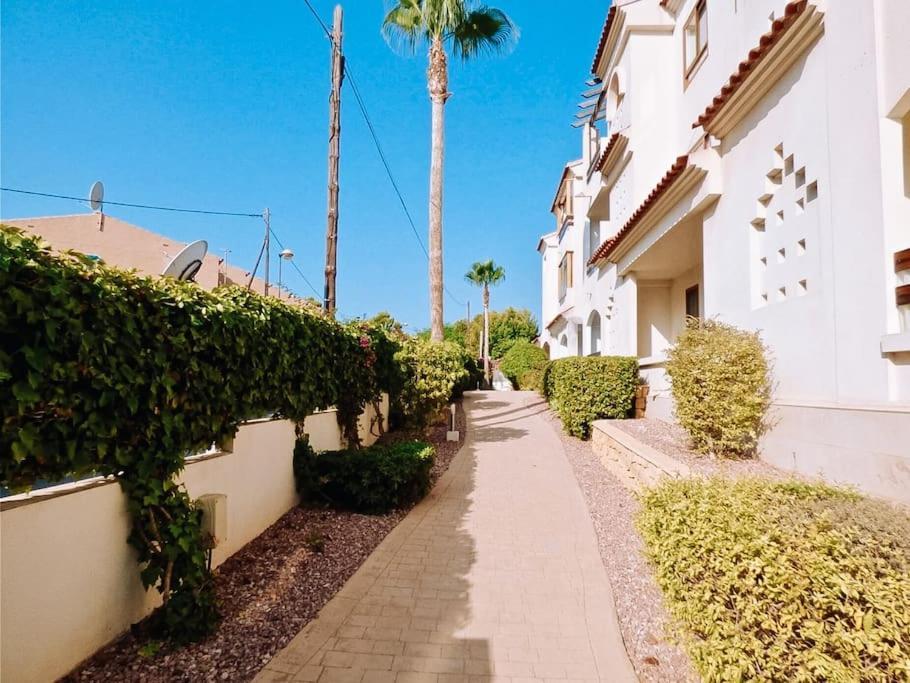 Soleado Apartamento Con Piscina Y Terraza Privada. 알비르 외부 사진